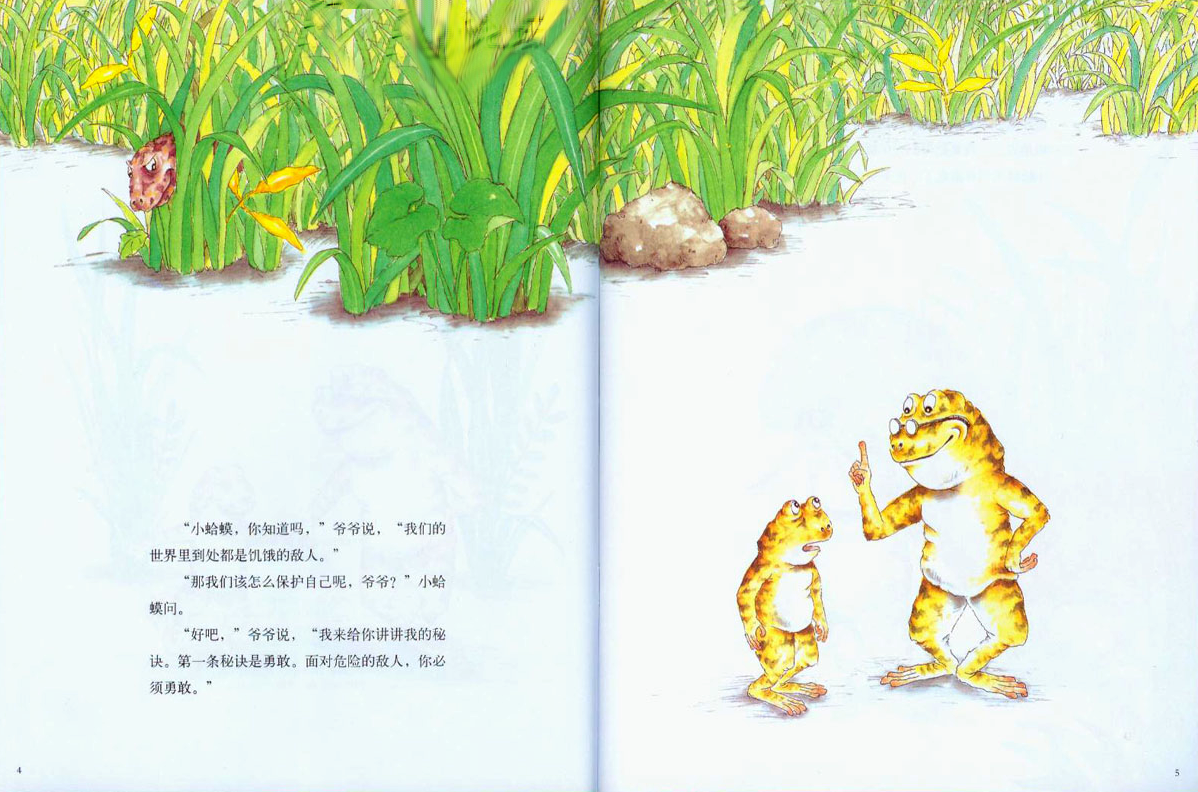 蛤蟆爷爷的秘诀 (02),绘本,绘本故事,绘本阅读,故事书,童书,图画书,课外阅读